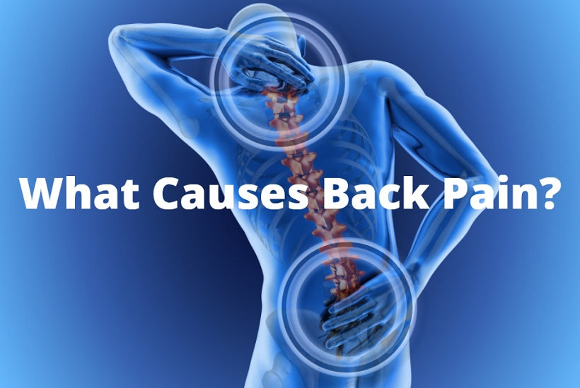 What Causes Back Pain?