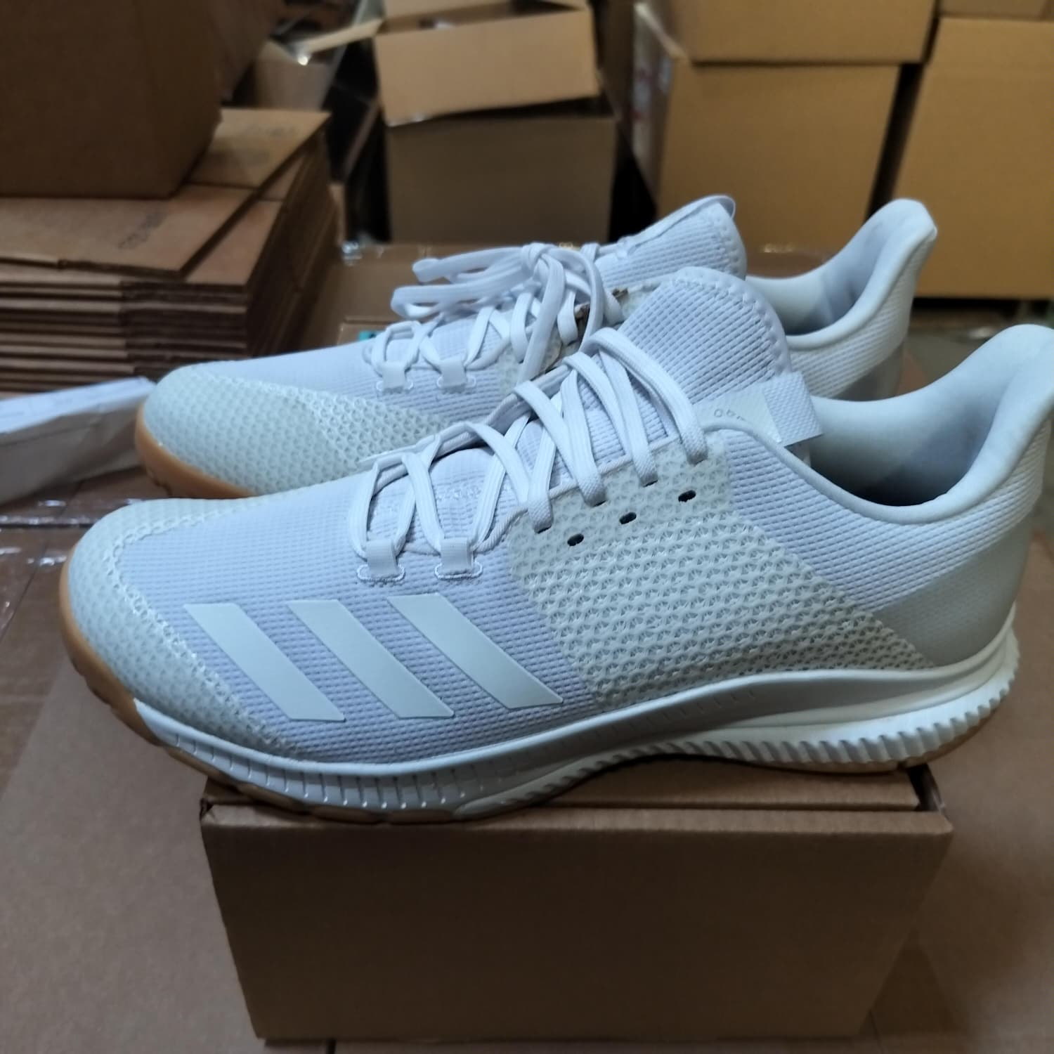 Adidas Crazyflight Bounce 3 Women's Volleyball Shoes White Gum Size 11